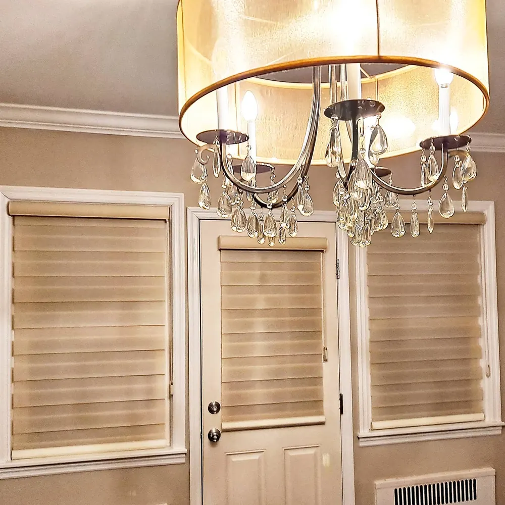 Zebra shades, entry